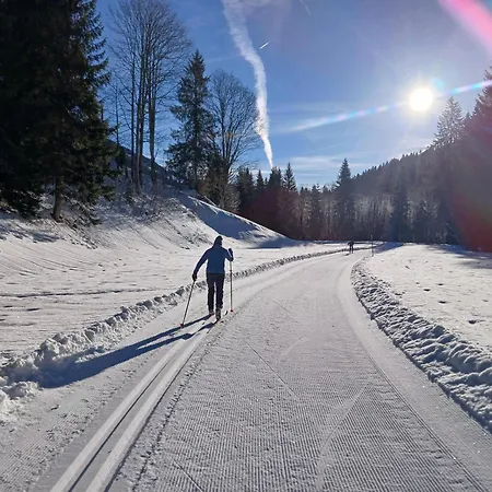 Farm stay Steurer Balderschwang