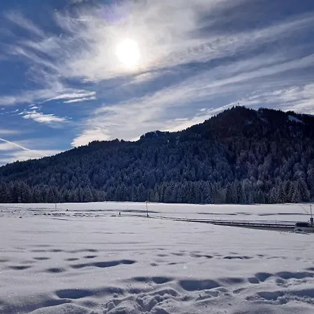 Steurer Balderschwang