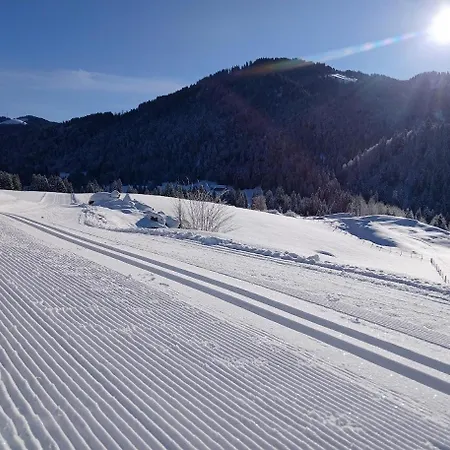 Steurer